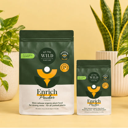 Enrich Slow Release Houseplant Food