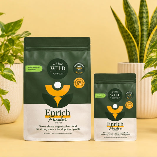 Enrich Slow Release Houseplant Food