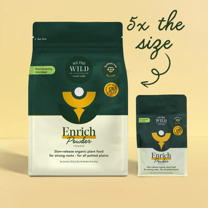 Enrich Slow Release Houseplant Food