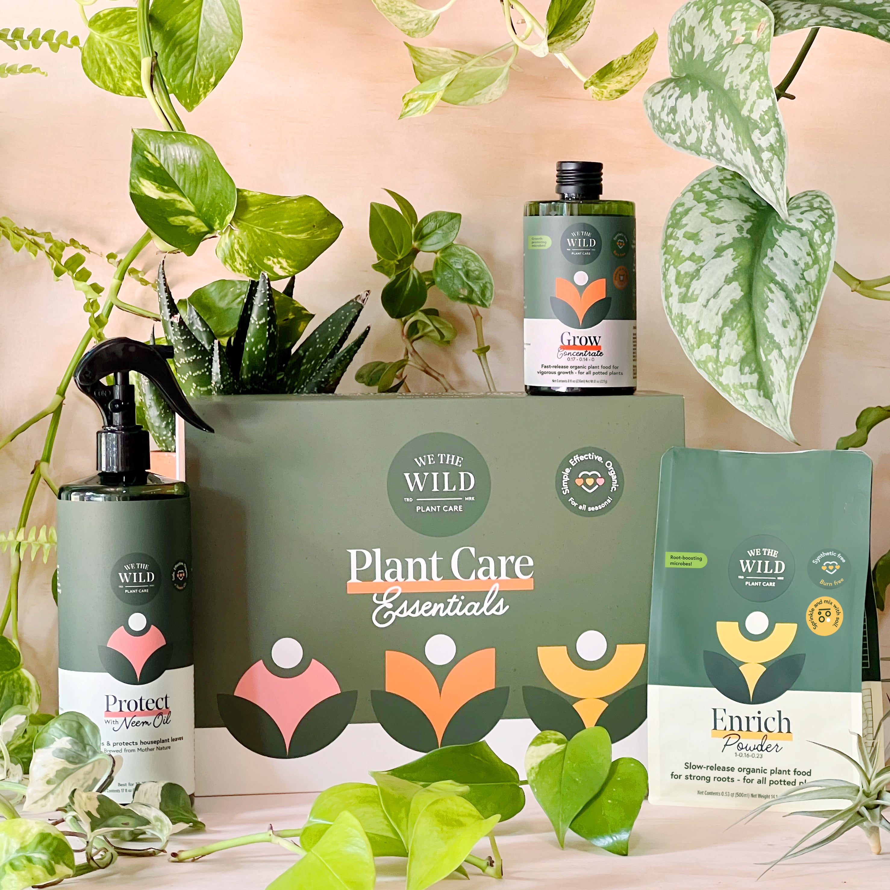 We the Wild Houseplant Care Kit - Thumbnail 4