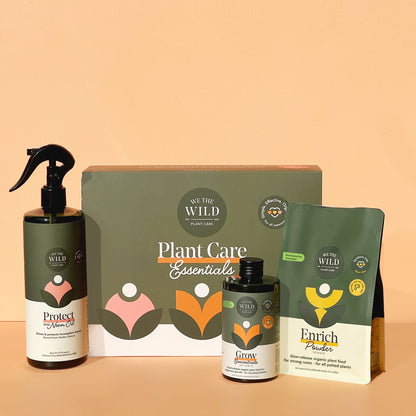 Essential Houseplant Care Kit