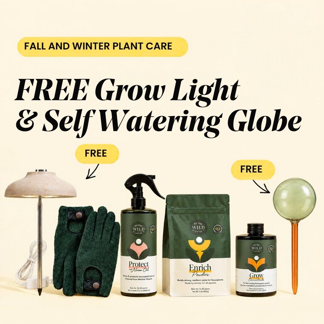 Fall & Winter Plant Care Bundle