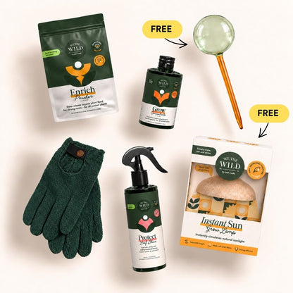 Fall & Winter Plant Care Bundle