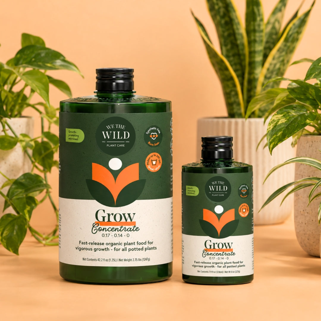 Grow Fast Acting Houseplant Food