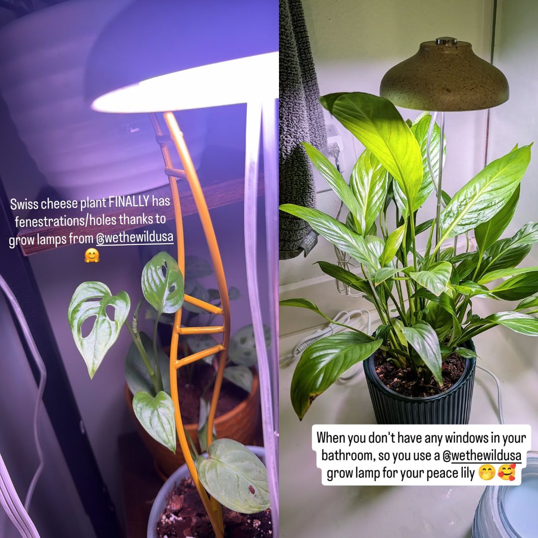 Instant Sun Houseplant Grow Lamp