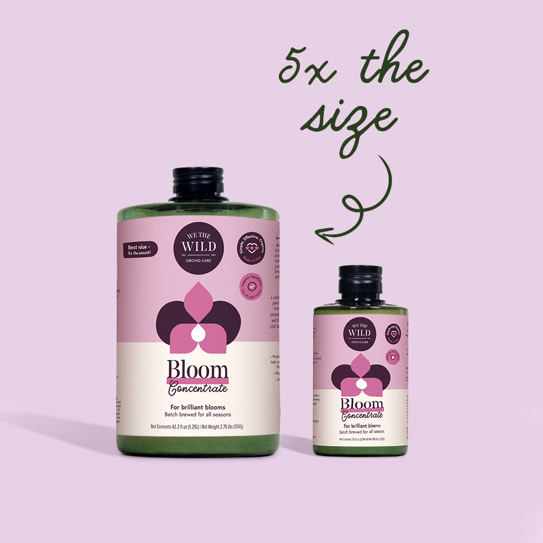 Bloom Flowering Plant Food