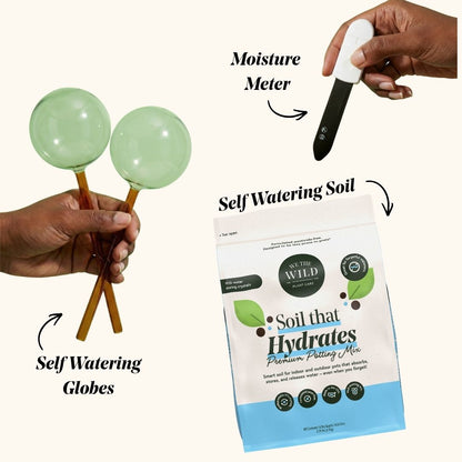 Plant Watering Bundle