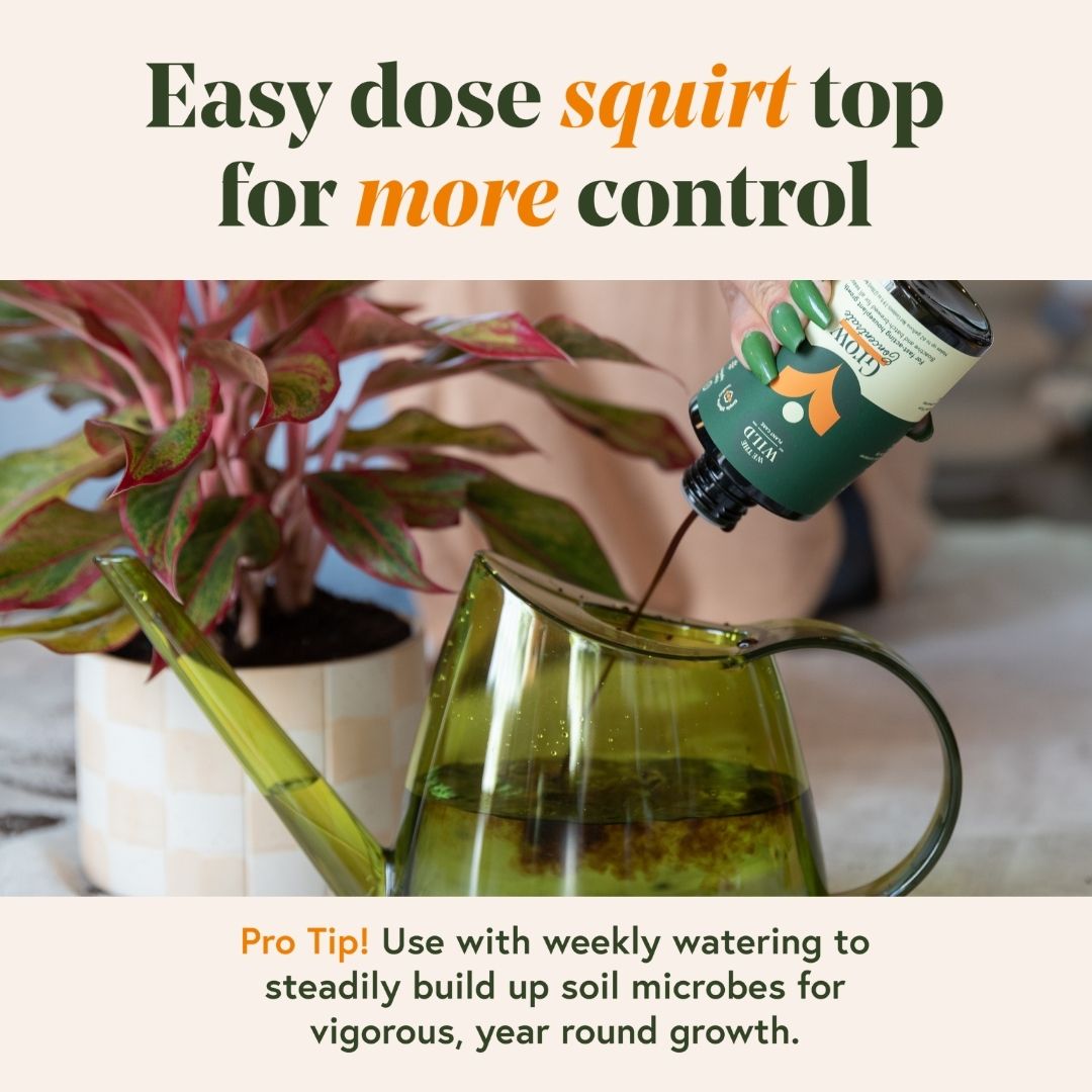 Grow Fast Acting Houseplant Food