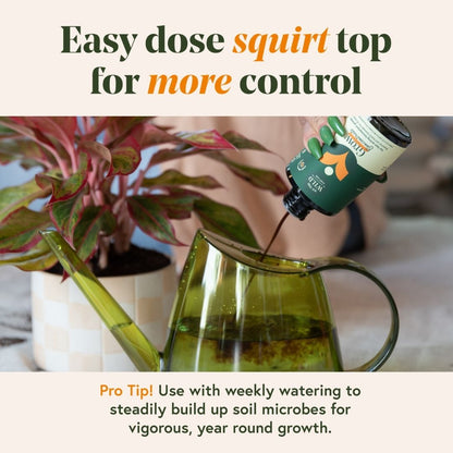 Grow Fast Acting Houseplant Food