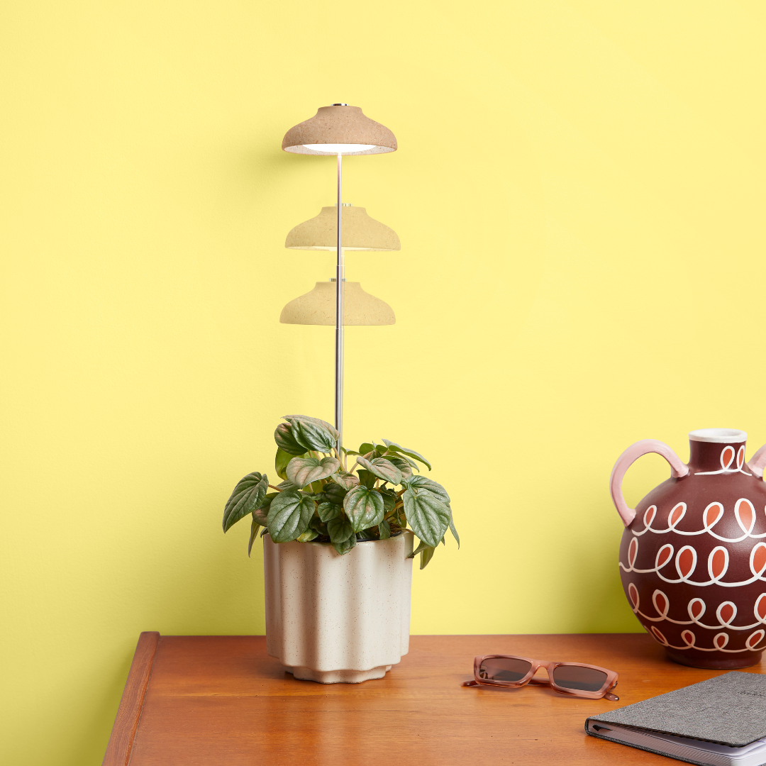 Instant Sun Houseplant Grow Lamp