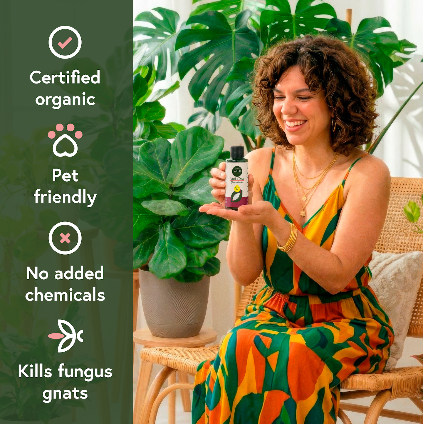 Fungus Gnat Fixer