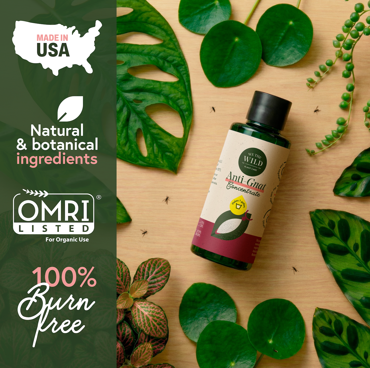 Fungus Gnat Fixer