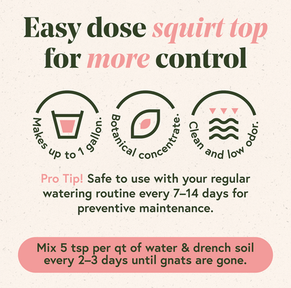Fungus Gnat Fixer