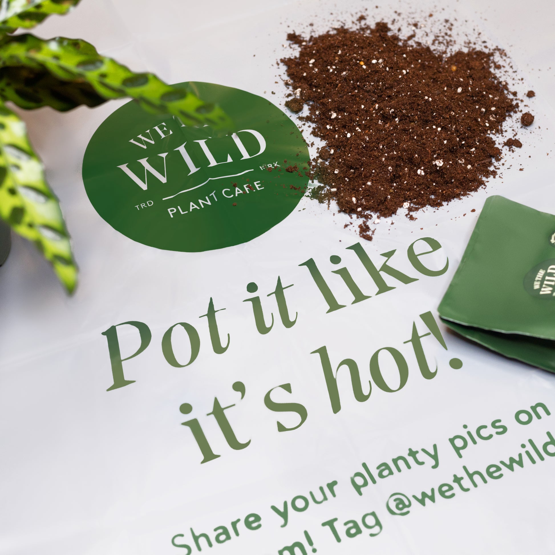 plant pot mats We The Wild Compostable Gardening Mats