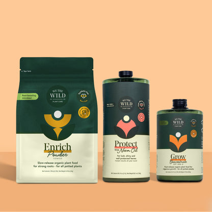 Essential Houseplant Care Kit