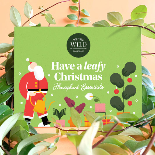 Essential Houseplant Christmas Kit