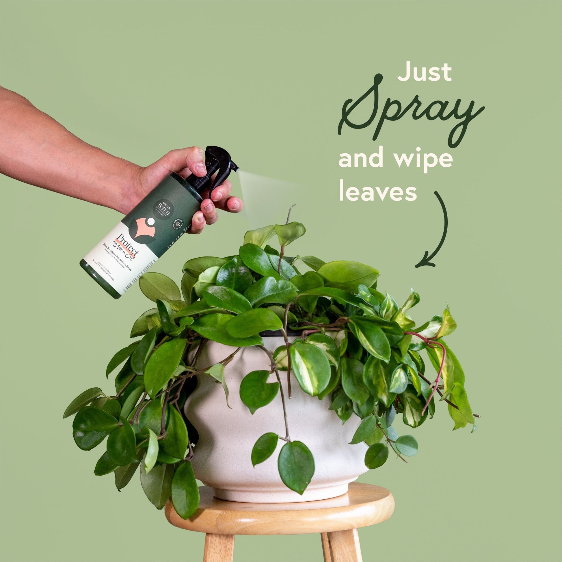 neem oil for pothos Pest & Leaf Care Kit for Houseplants – We The Wild Plant Care USA
