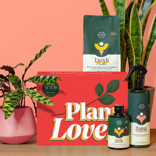 Essential Houseplant Care Kit