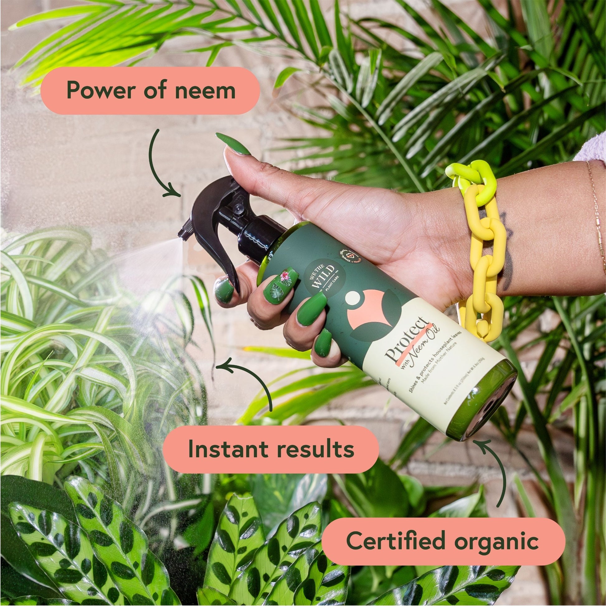 house plant care kit Essential Plant Care Kit