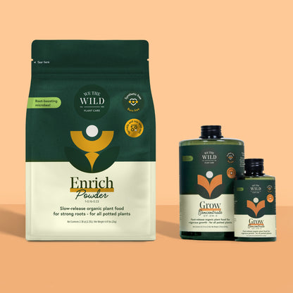 Plant Food Bundle for Houseplants