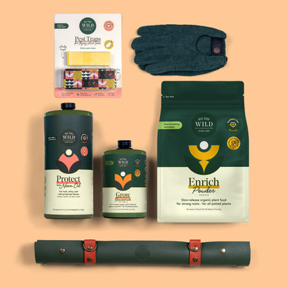 Fall & Winter Houseplant Care Bundle