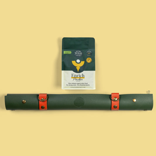 Repotting Bundle for Houseplants