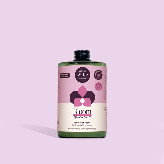 Bloom Flowering Plant Food