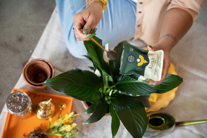 Plant Care That Actually Works