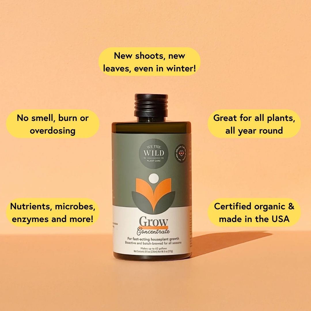 Houseplant Starter Grow Kit