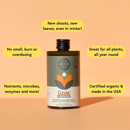 Houseplant Starter Grow Kit