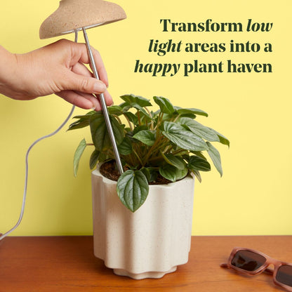 Instant Sun Houseplant Grow Lamp