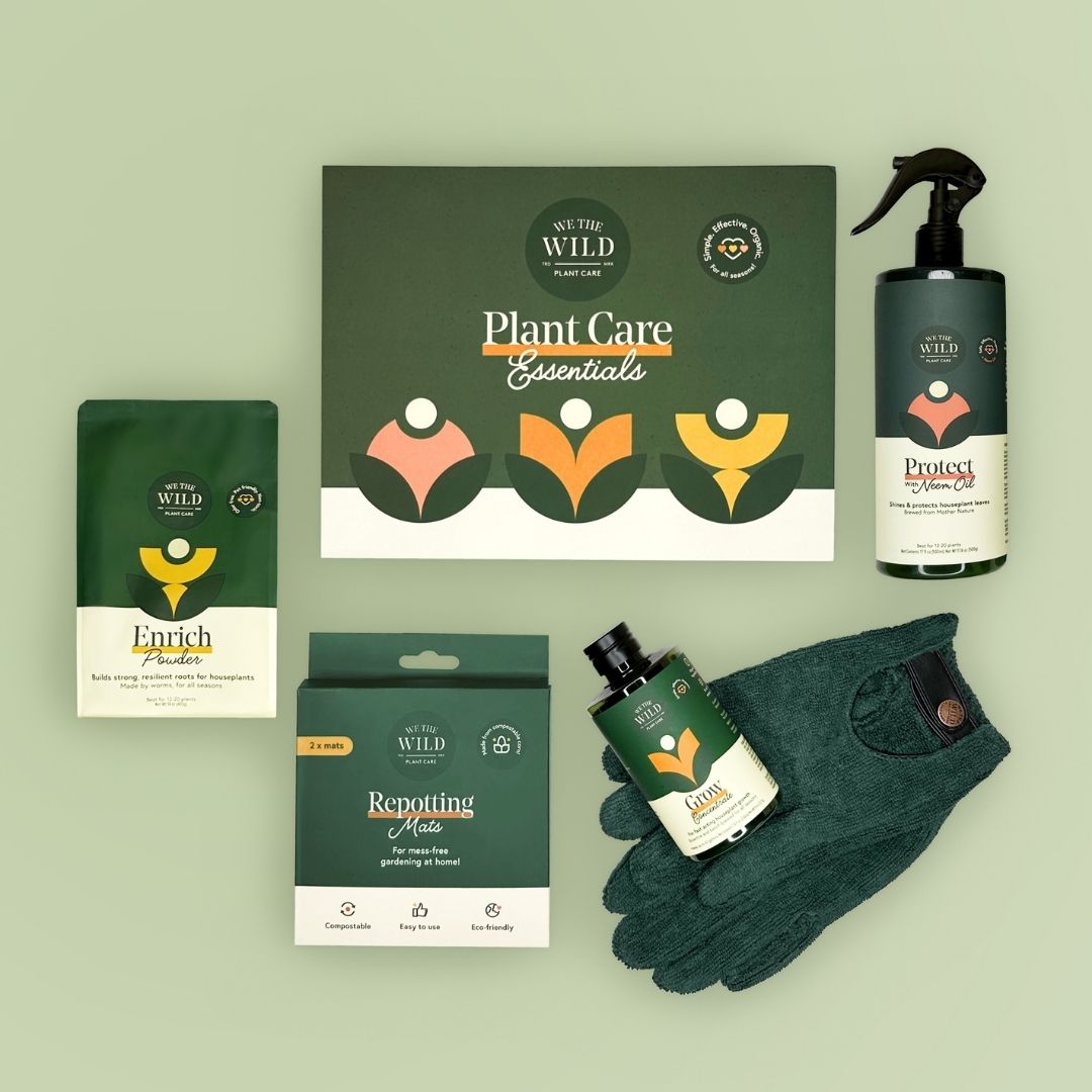 Houseplant Starter Grow Kit