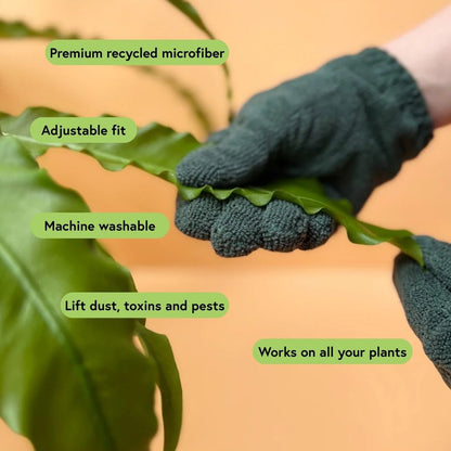 Houseplant Starter Grow Kit