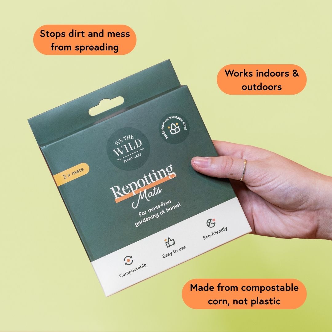 Houseplant Starter Grow Kit