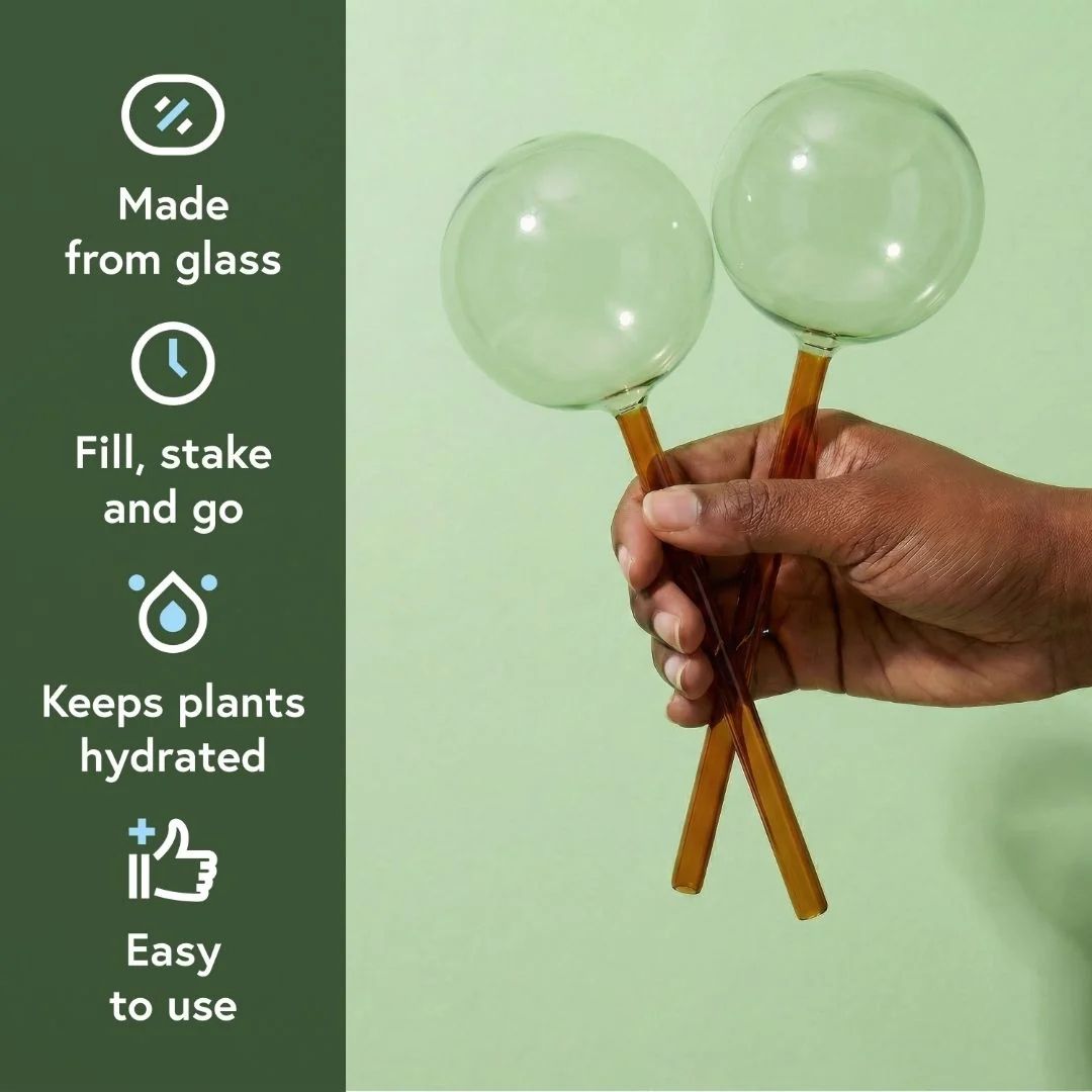 Self-Watering Globes - Glass