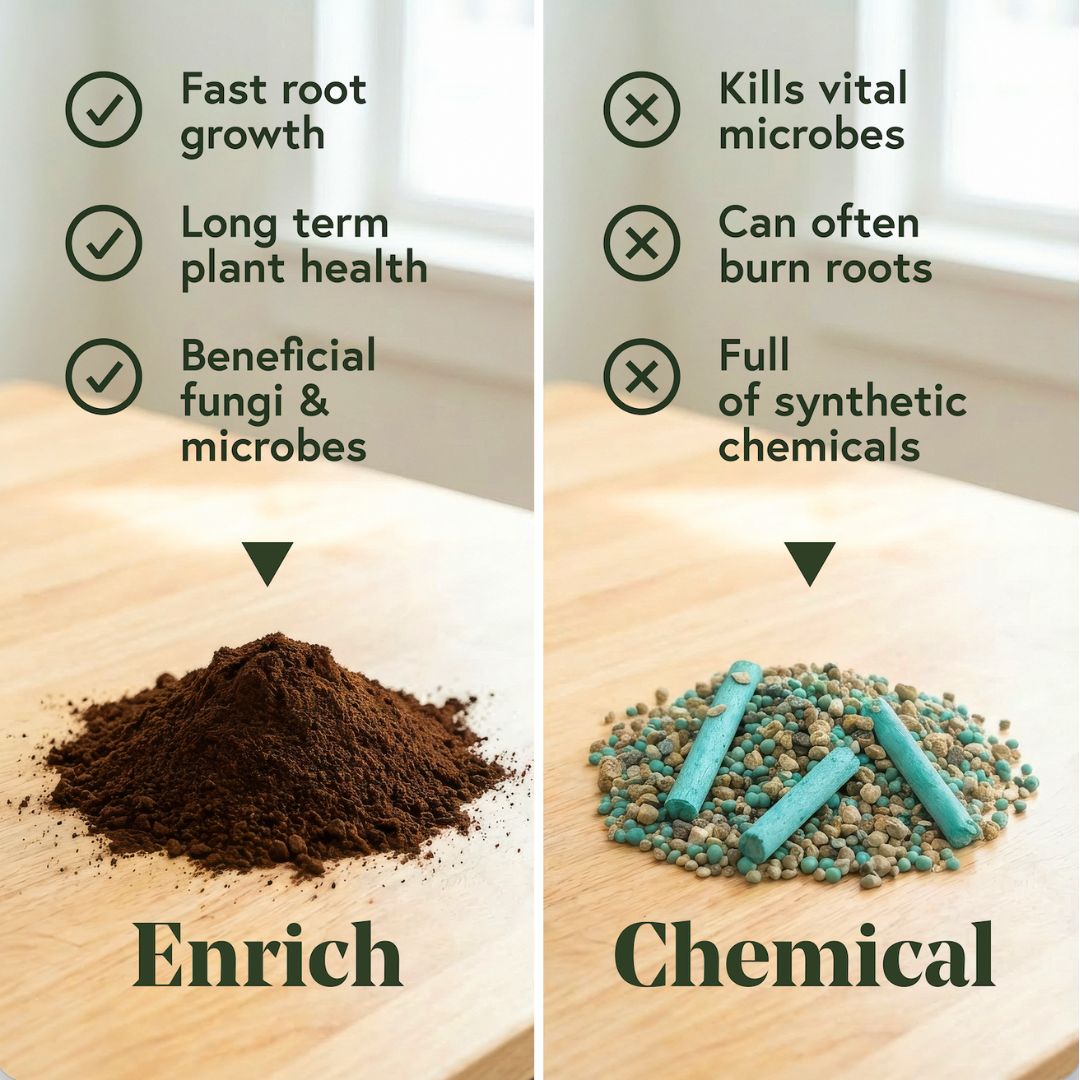 Enrich Slow Release Houseplant Food