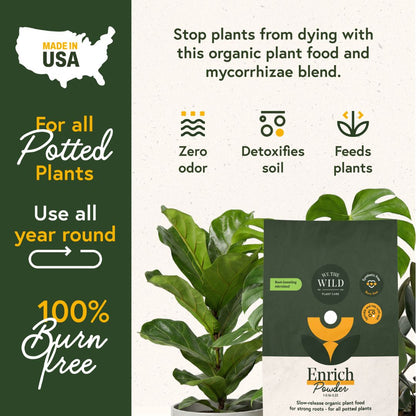 Enrich Slow Release Houseplant Food