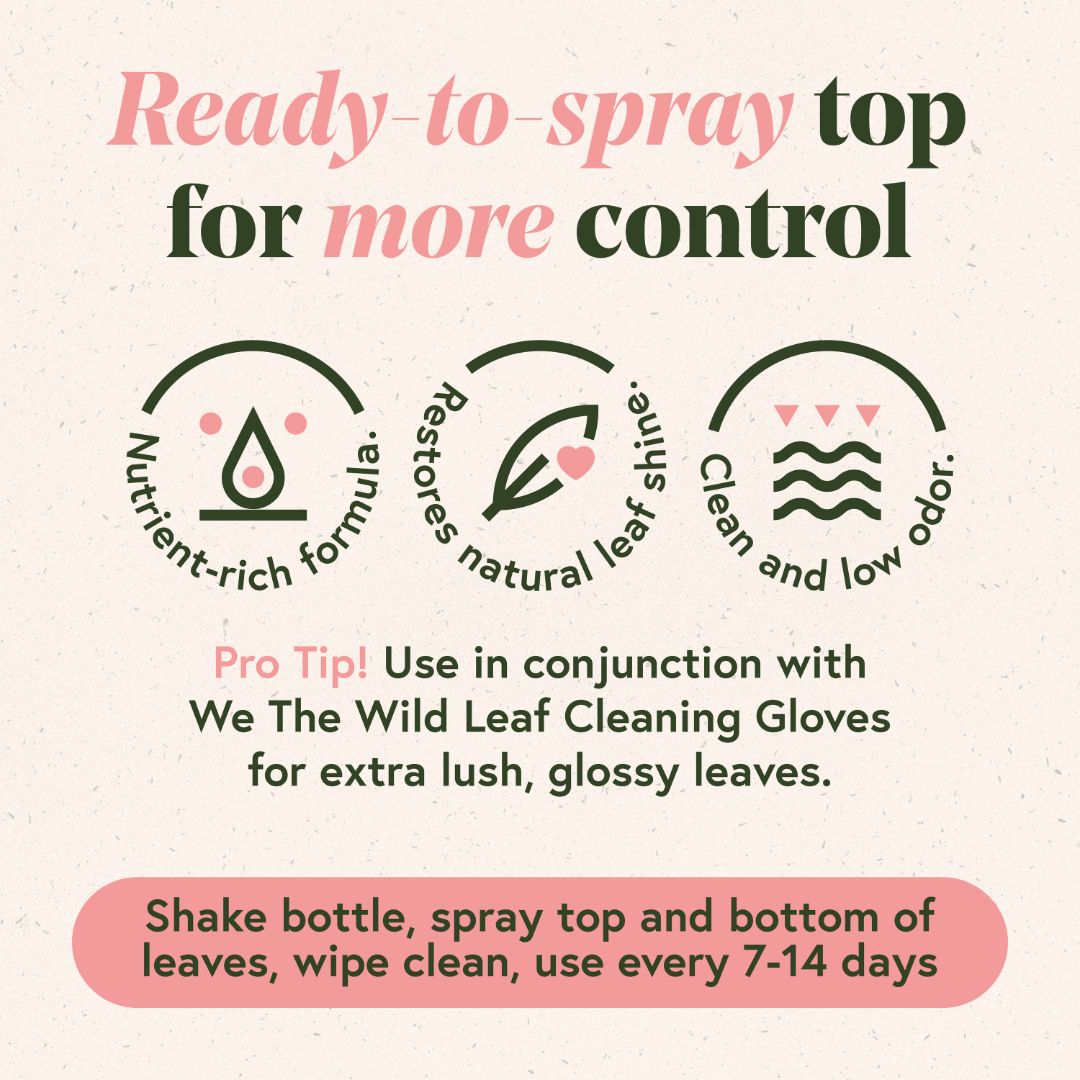 Protect Leaf Spray with Neem Oil