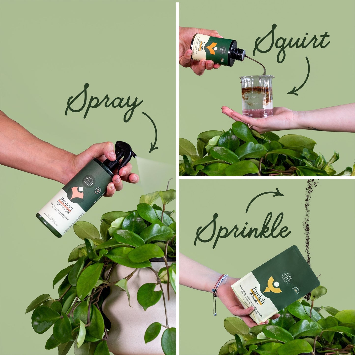 Houseplant Starter Grow Kit