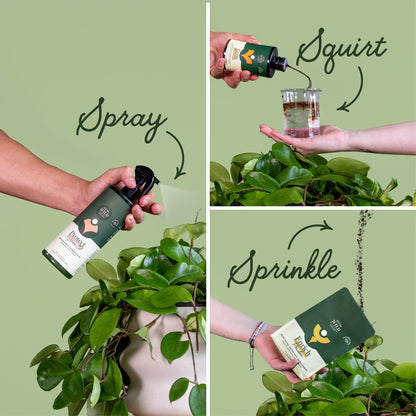 Houseplant Starter Grow Kit