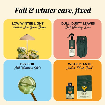 Fall & Winter Plant Care Bundle
