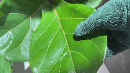 Leaf Cleaning Gloves