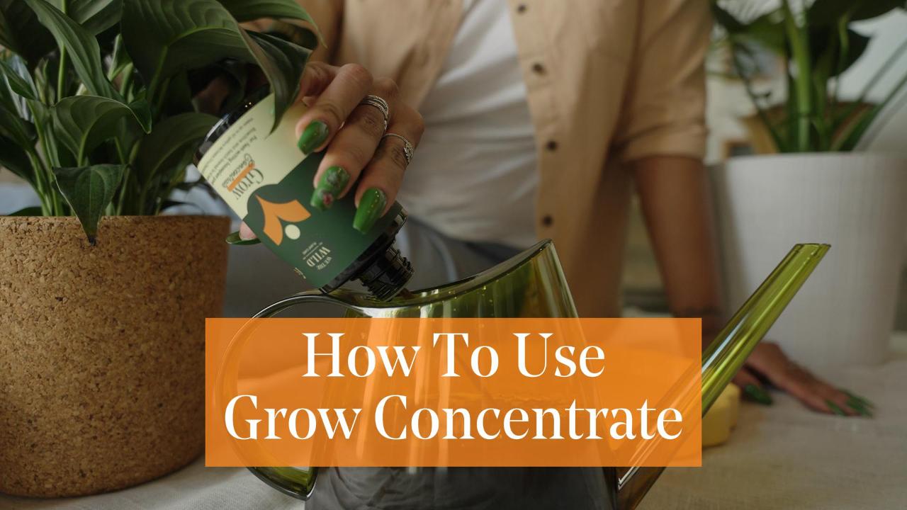 Load video: how to use Grow concentrate