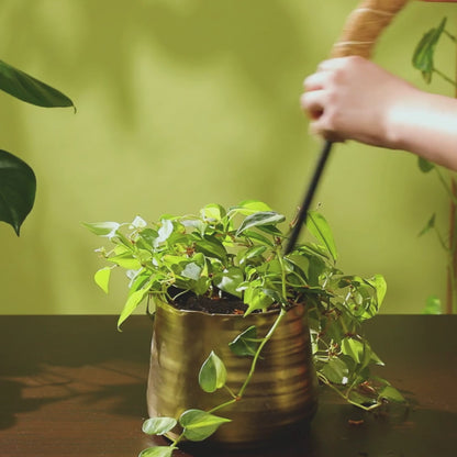 Coco Climber Grow Pole