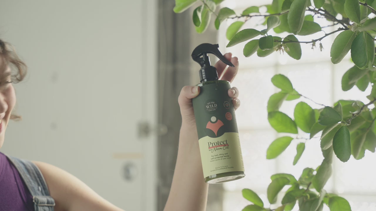 メンテナンス PFINDER W550 320ml Neem Oil Spray for Indoor Plants | Protect Spray | We The Wild