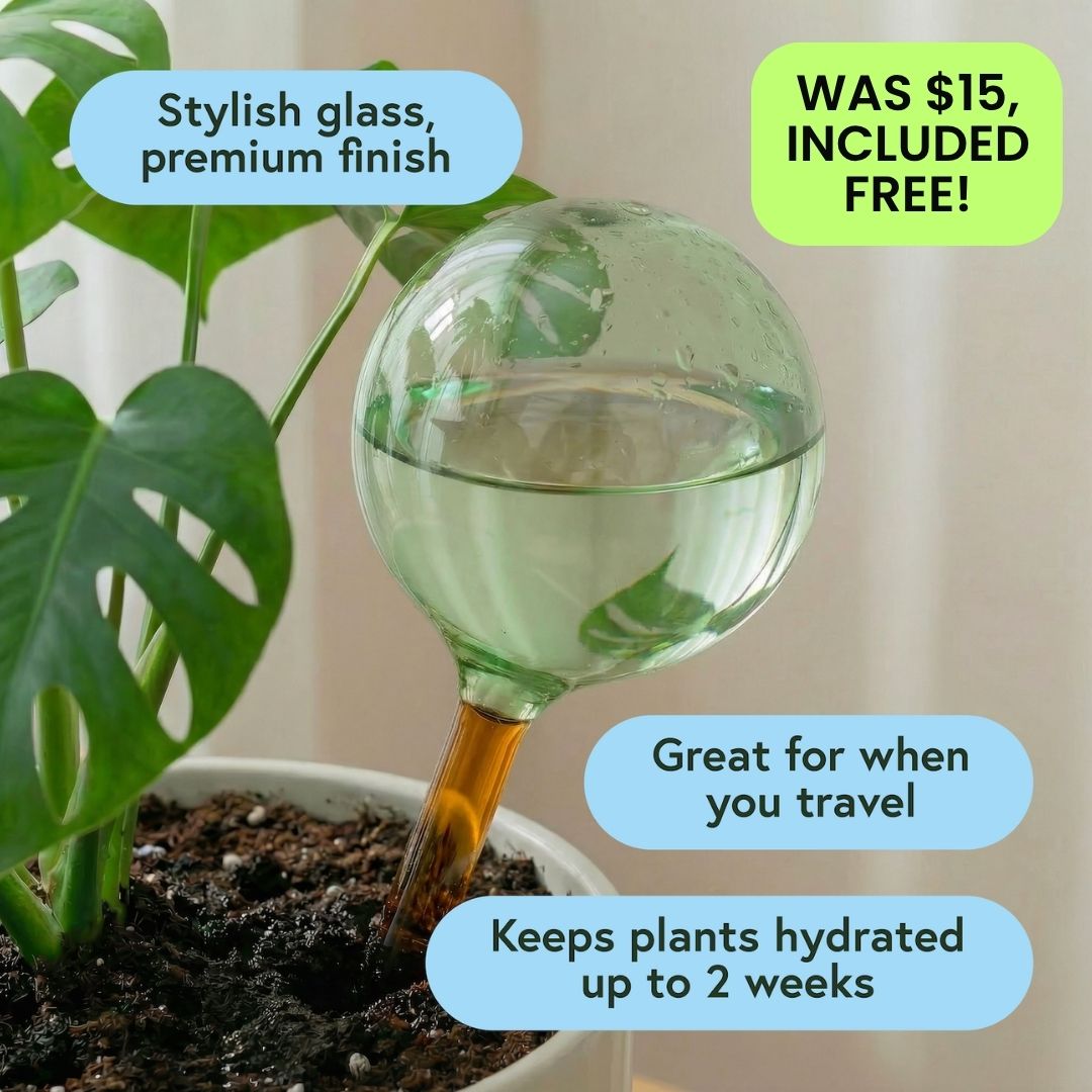 Fall & Winter Plant Care Bundle