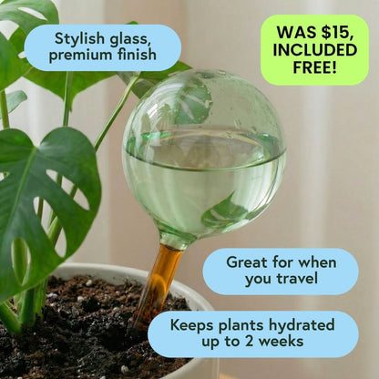 Fall & Winter Plant Care Bundle