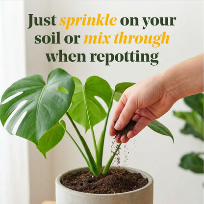 Enrich Slow Release Houseplant Food
