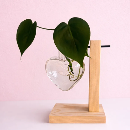 Valentine Propagation Station