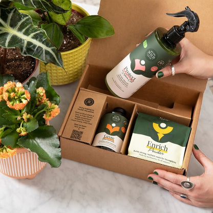Houseplant Starter Grow Kit